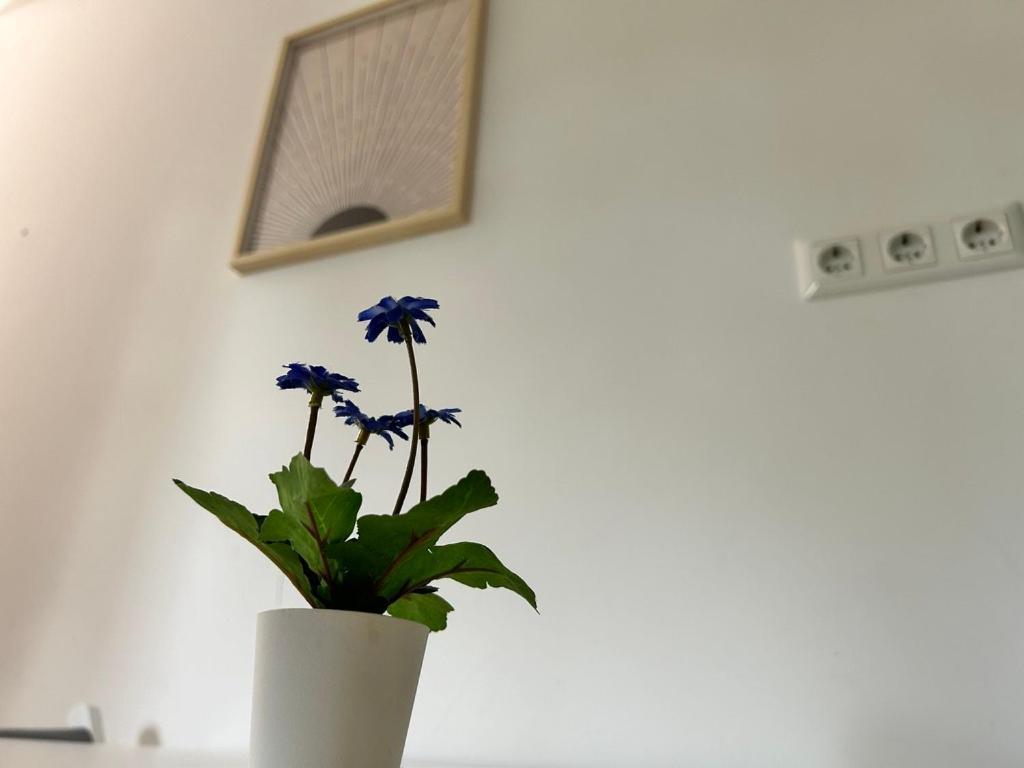 Prime Suites Near Schoenbrunn Castle Wina Bagian luar foto